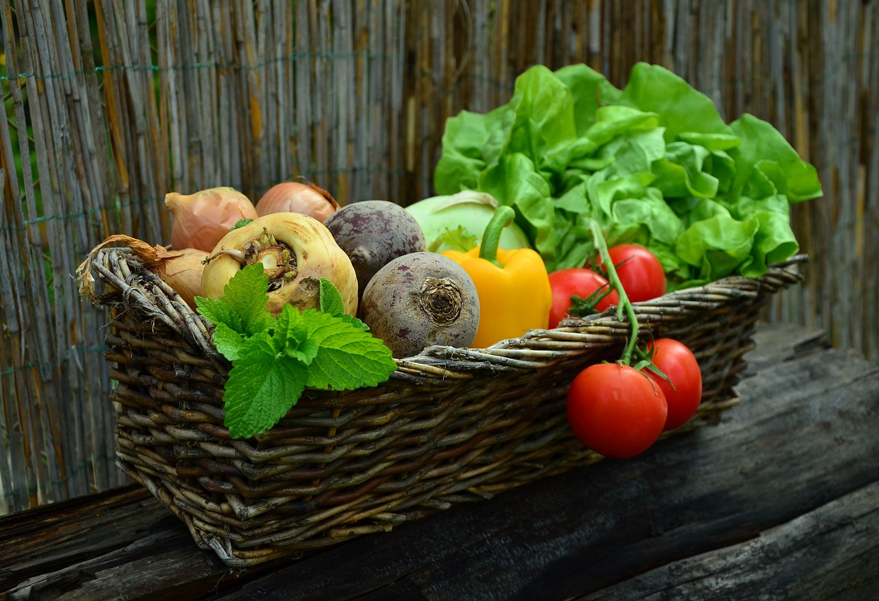 Comment planter des légumes en mai au potager ?